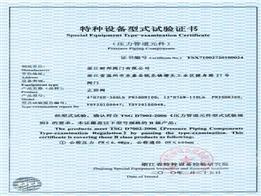 Special Equipment Type -examination Certificate---Check Valve
