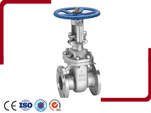 Bolted Bonnet Gate Valve