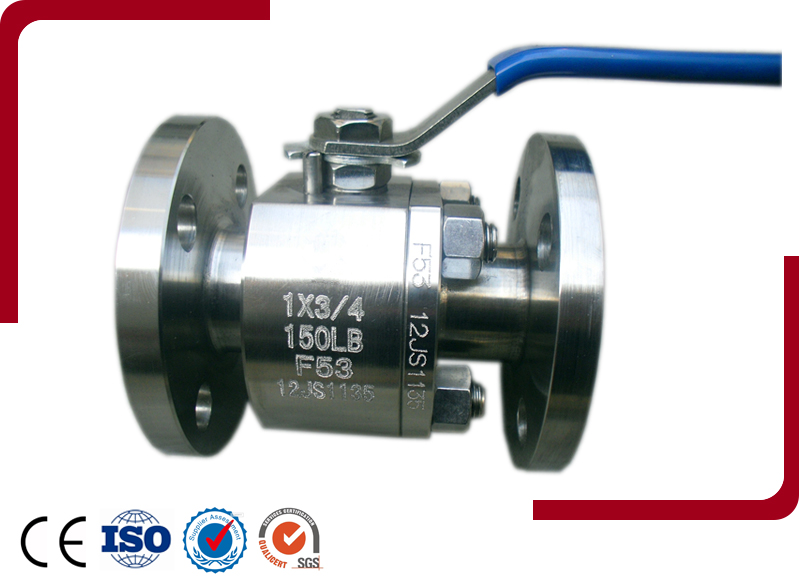 Forged Steel Floating Ball Valve<a href="http://www.yandouba.org/" title="摄像头干扰器" alt="监控屏蔽器"></a>