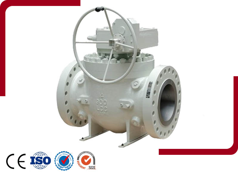 Top Enrty Ball Valve<a href="http://www.chenyuqi.net/" title="摄像头屏蔽器" alt="监控干扰器"></a>