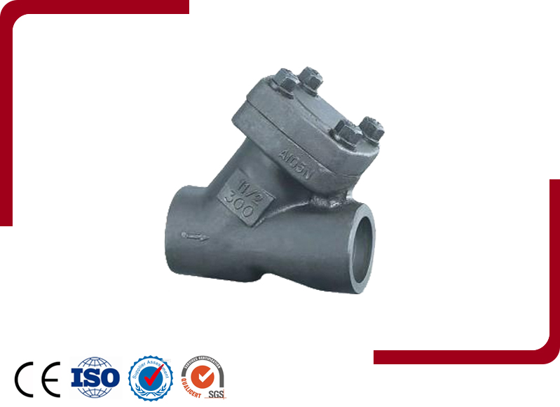  Y Type Check Valve