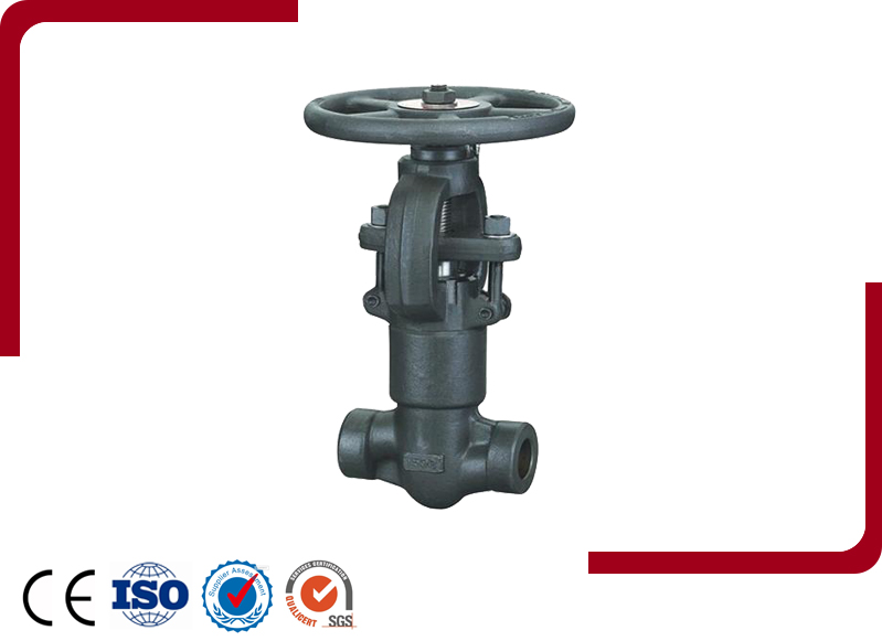 Pressure Sealing Globe Valve