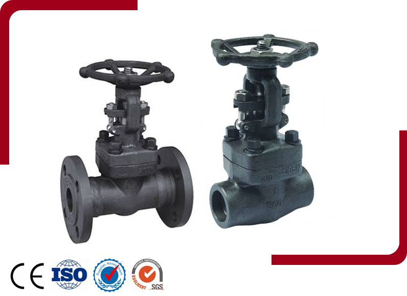 Forged Steel Gate Valve