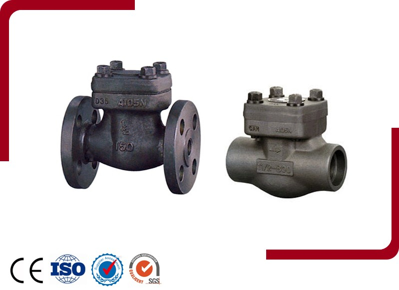 Forged Steel Check Valve