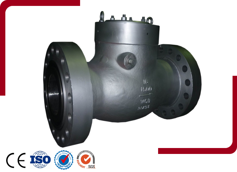 Pressure Seal Check Valve