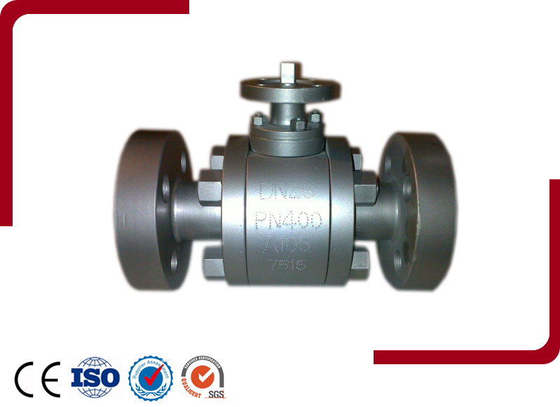 Forged Steel Floating Ball Valve