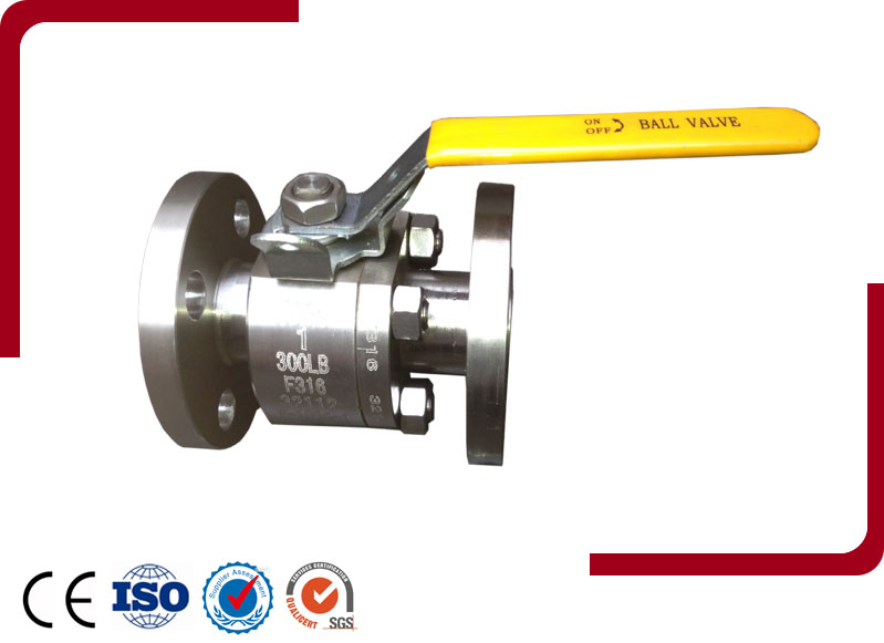 Forged Steel Floating Ball Valve